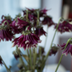Image for article titled Canon EOS M Review: Playing Catch-Up in the Mirrorless Race